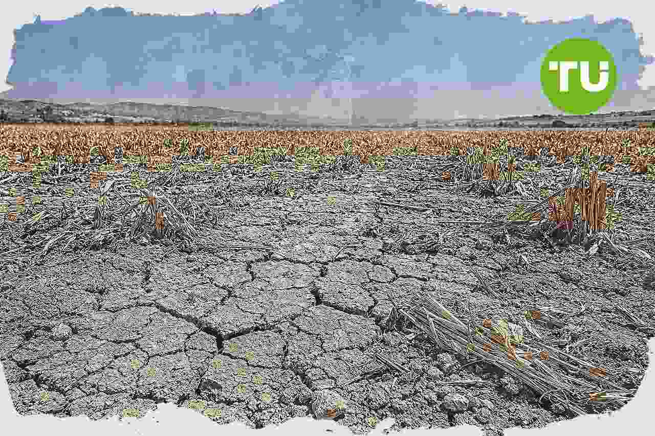 Europa Ocidental regista calor recorde em junho e agrava pressão sobre energia, agricultura e seguros