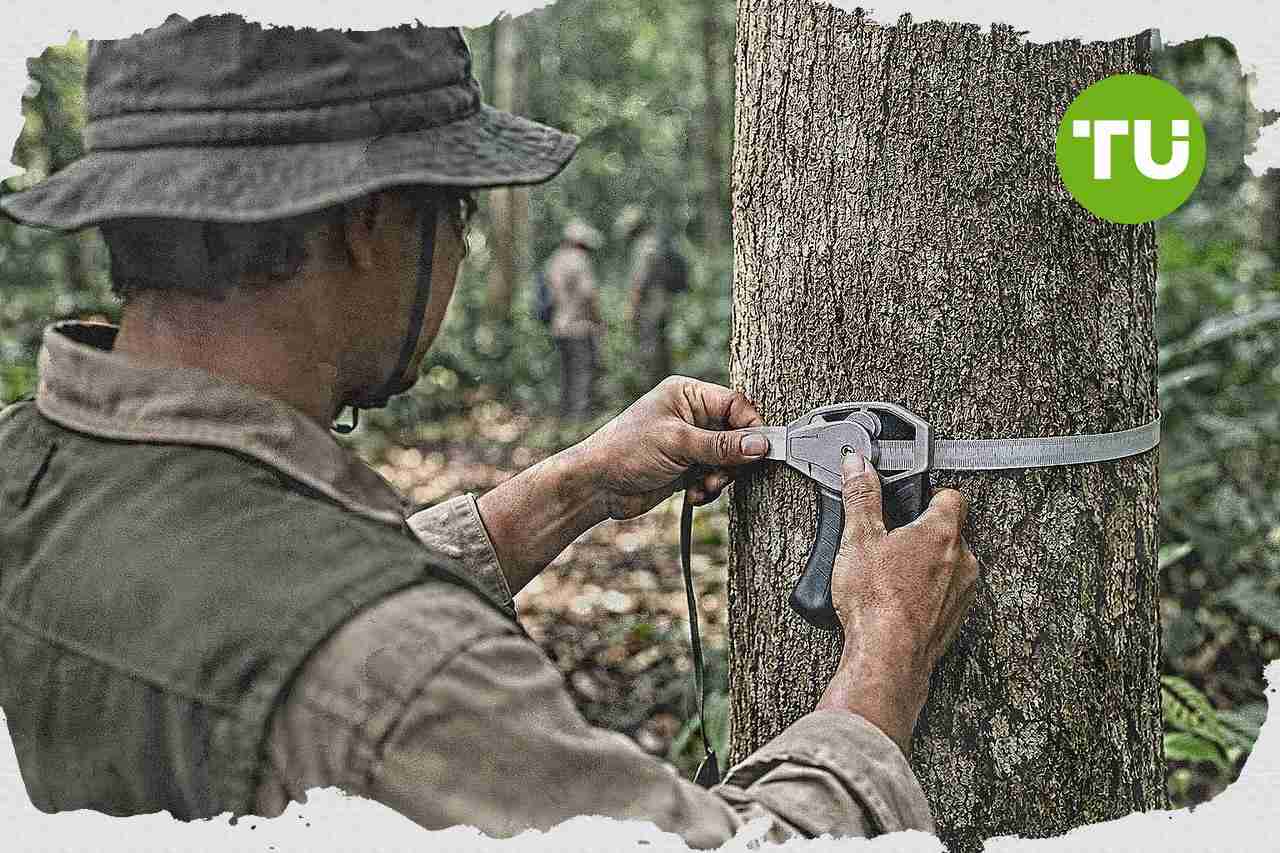 Kementerian Kehutanan buka perdagangan karbon bagi perhutanan sosial dan hutan adat