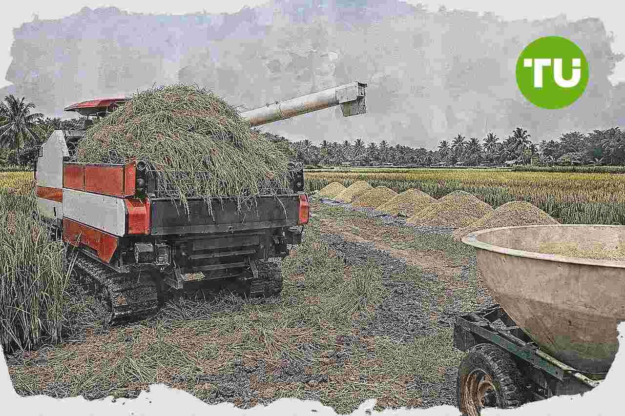 Indonesia perkuat posisi beras global di tengah krisis pupuk, FAO soroti kenaikan produksi dan stok