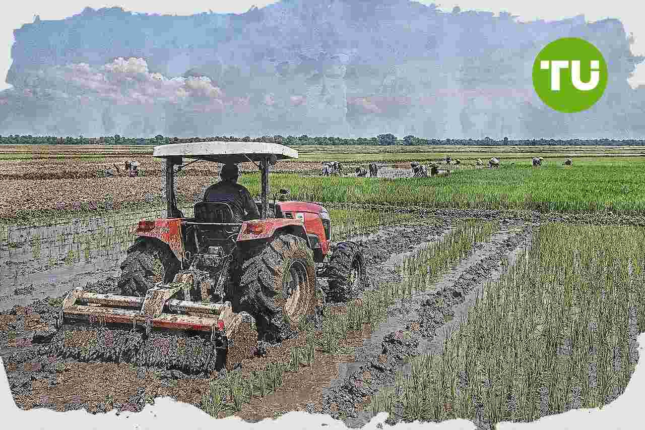 Merauke tingkatkan produksi beras lewat OPLAH dan cetak sawah rakyat