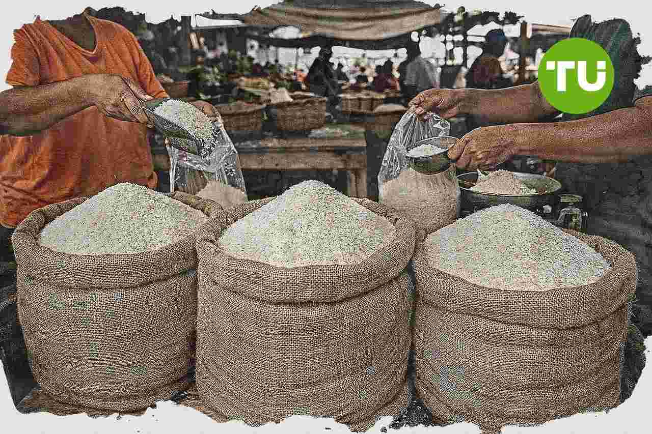 Papua Selatan perkuat stabilitas harga beras lewat peningkatan produksi padi
