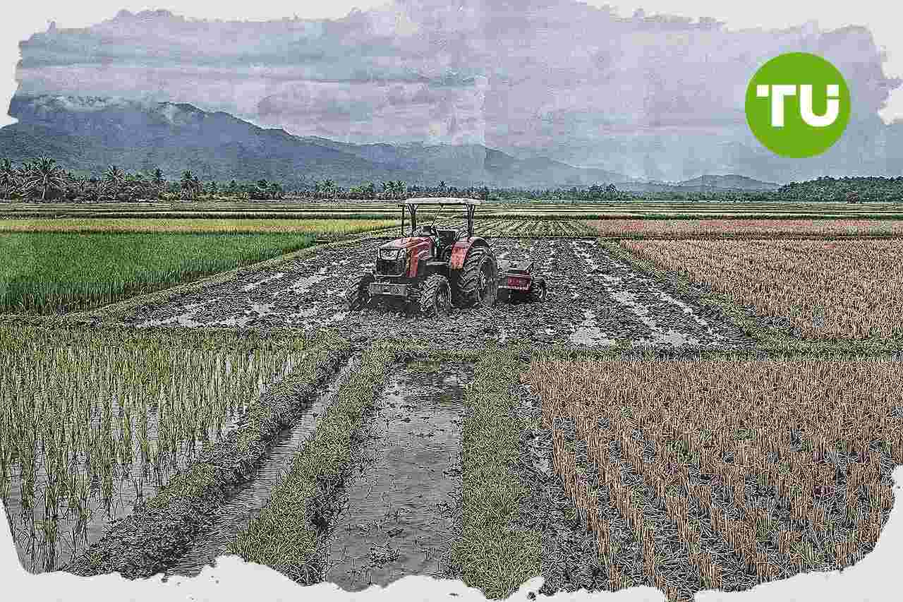 Program cetak sawah rakyat di Papua dorong produksi pangan dan pendapatan petani