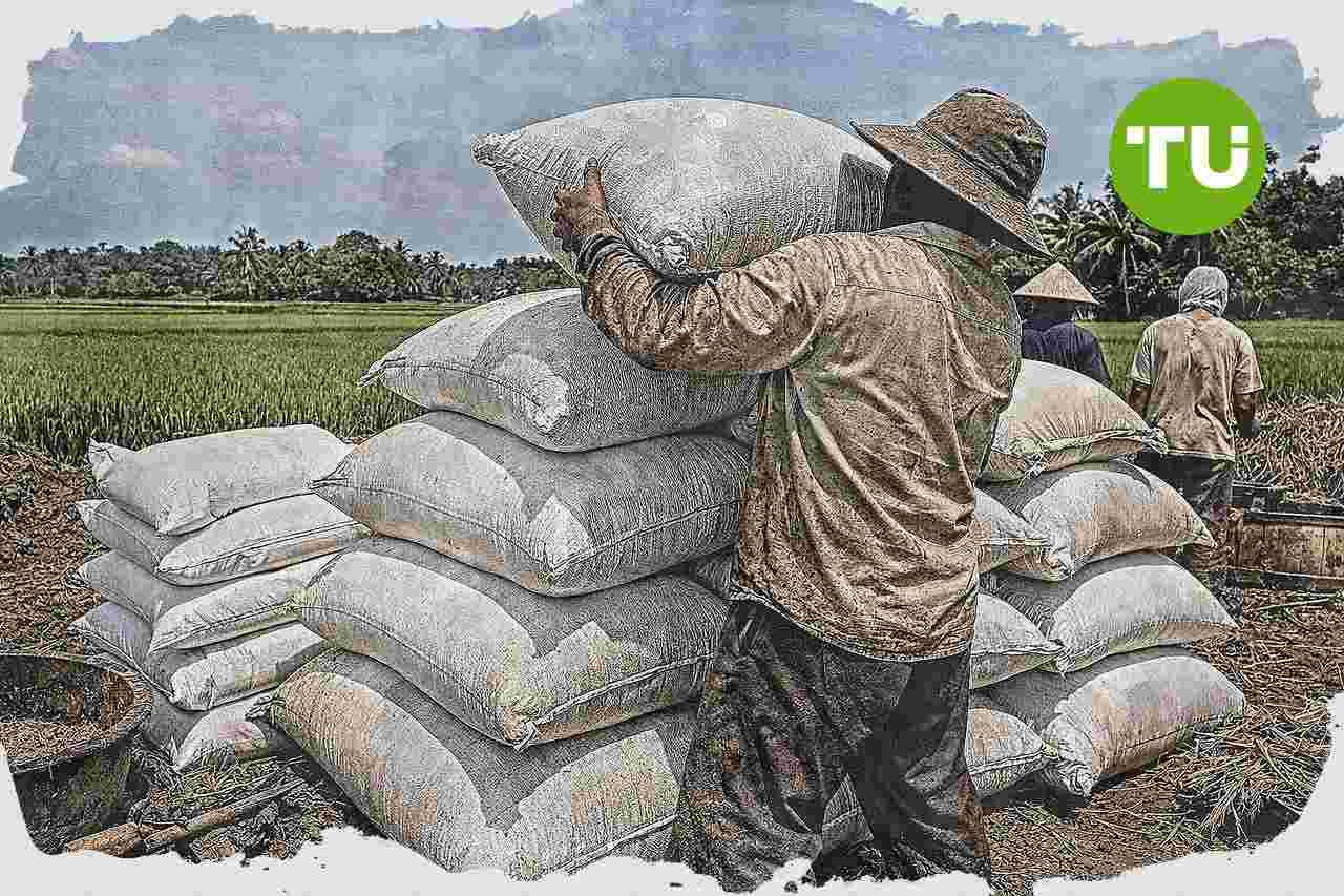 ADKASI nilai kebijakan HPP gabah menopang pendapatan petani dan ketahanan pangan
