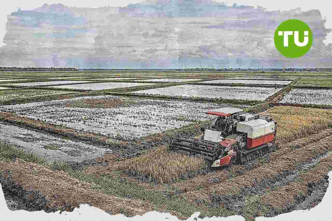 Papua Selatan perluas pengembangan sawah dan oplah untuk dorong produksi pangan