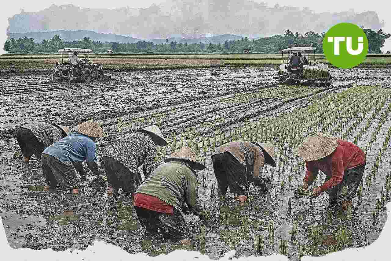 Kementerian Pertanian percepat tanam lahan oplah dan cetak sawah rakyat untuk dorong produksi pangan