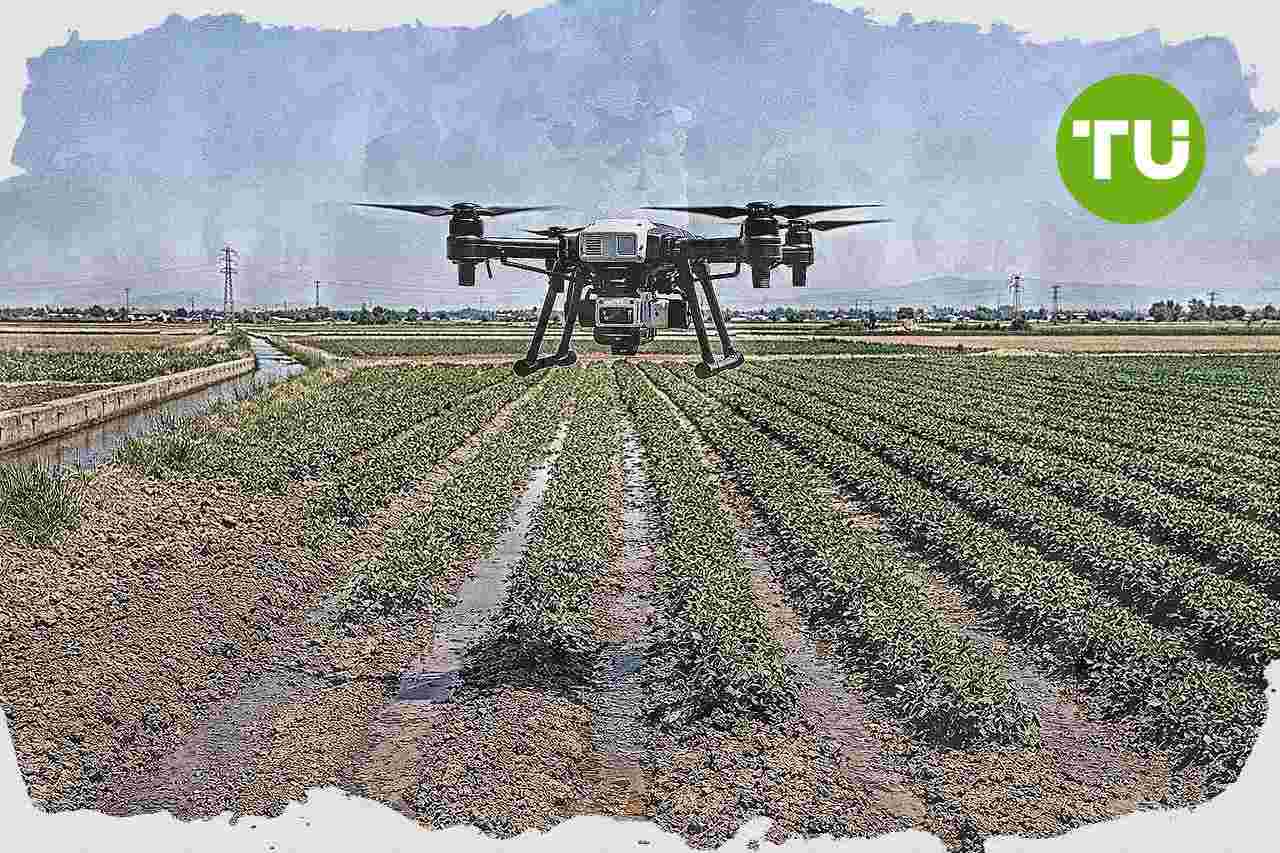 La Huerta de València activa ayudas de 2 millones y refuerza la modernización agraria