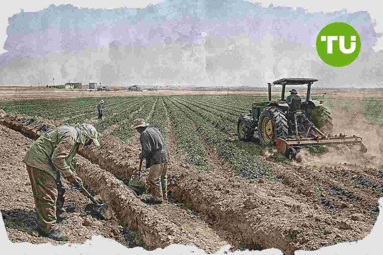 مجلس النواب المصري يوافق مبدئيًا على إعادة تنظيم جهاز مستقبل مصر للتنمية