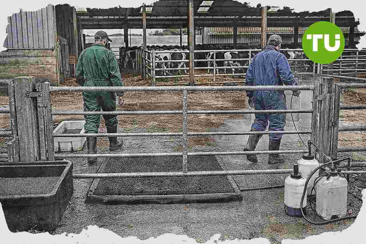 Magyar agrártárca azonnali beavatkozást sürget a tej- és sertéságazatban