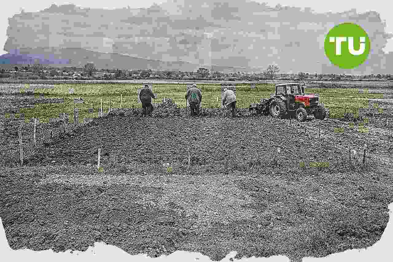 OPKEPE: tribunal confirma condenas por fraude en subvenciones agrícolas en Pella
