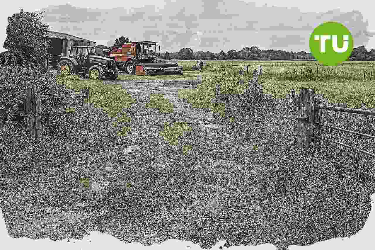 England farm sales reach two-decade high as costs and tax changes pressure small holdings