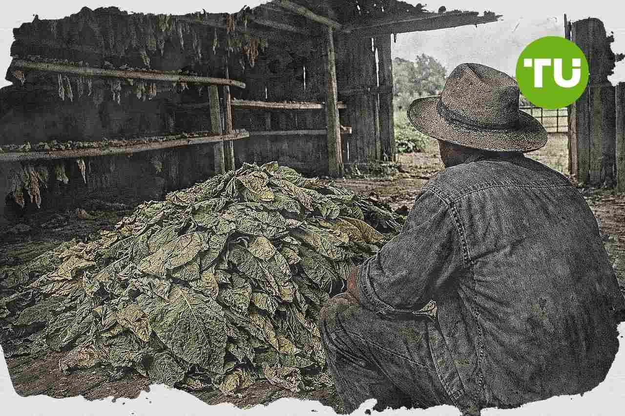 Industri hasil tembakau hadapi risiko pasokan lokal dari usulan batas nikotin