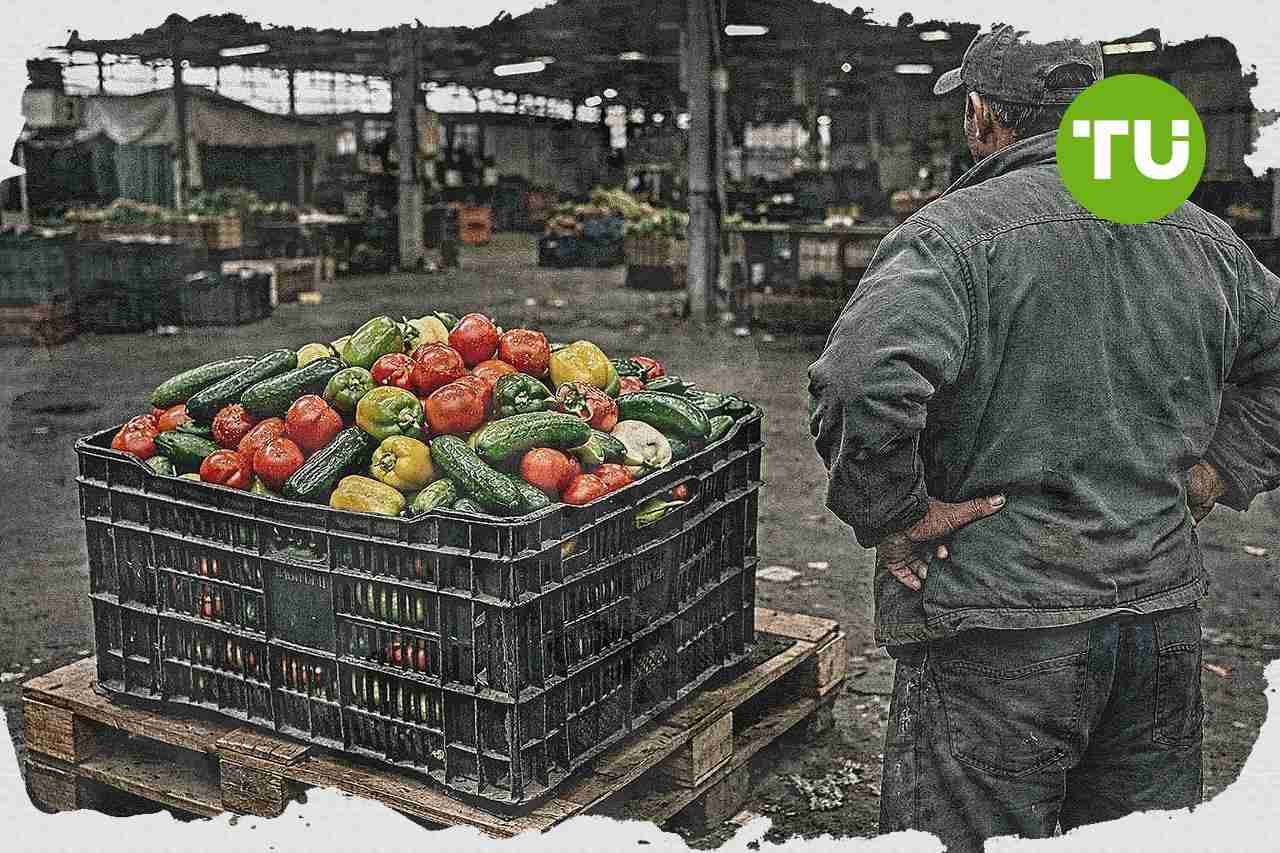 Türkiye'de tarım üretici fiyatları haziranda aylık yüzde 9,02 geriledi