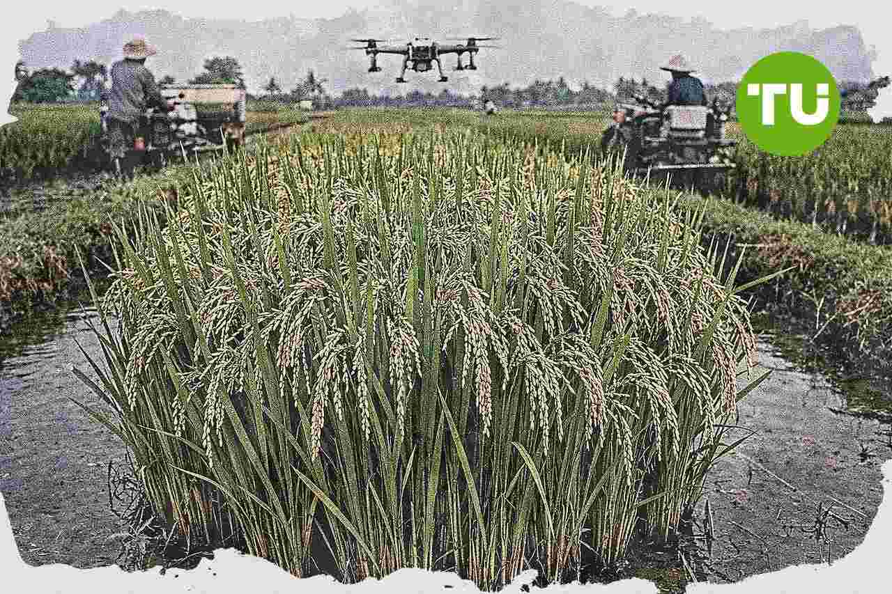 Kementerian Pertanian percepat penerapan PM-AAS untuk tingkatkan produktivitas dan pendapatan petani