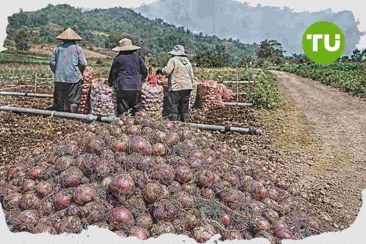 Kementan siapkan keberlanjutan Program UPLAND di Malang untuk menjaga pendapatan petani