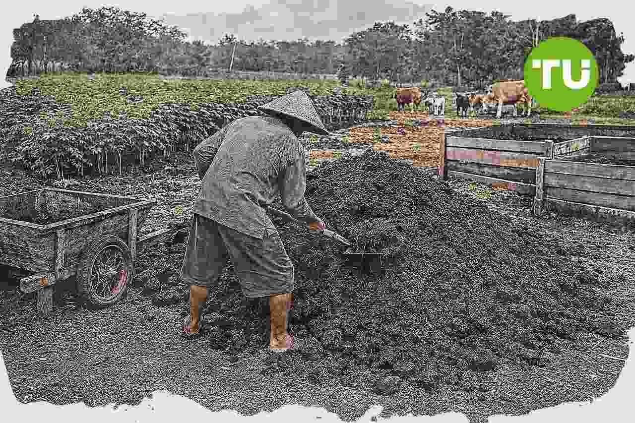 PLN EPI dorong pengolahan limbah peternakan jadi sumber pendapatan di Gunungkidul