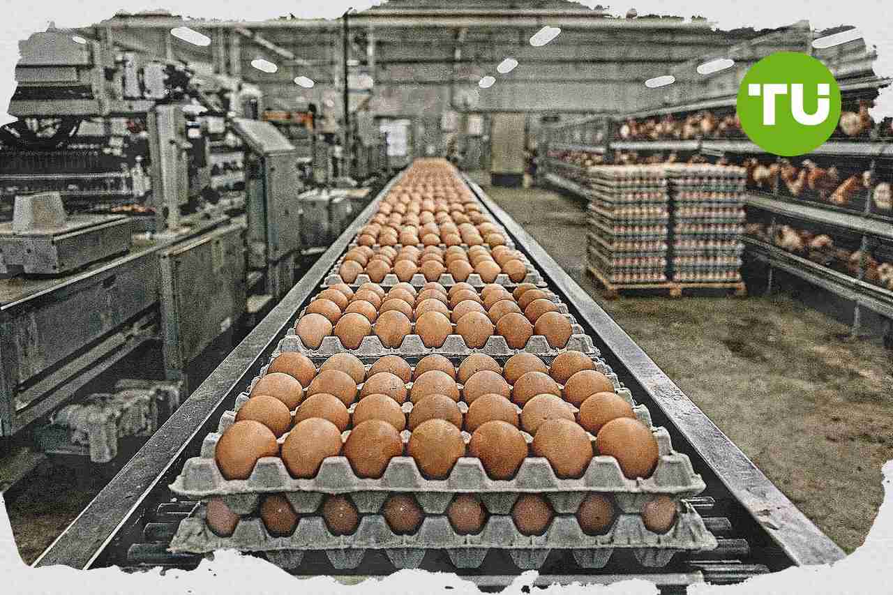 BGN dan Kementan perkuat sinergi MBG untuk perluas pasar pangan petani