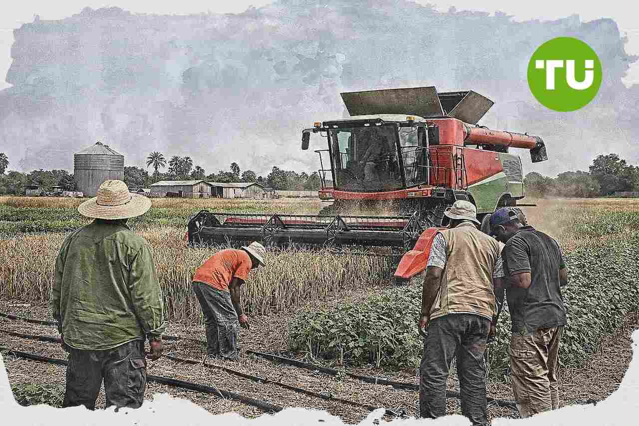 Italia e Senegal rafforzano la cooperazione agricola con il programma AREA Africa