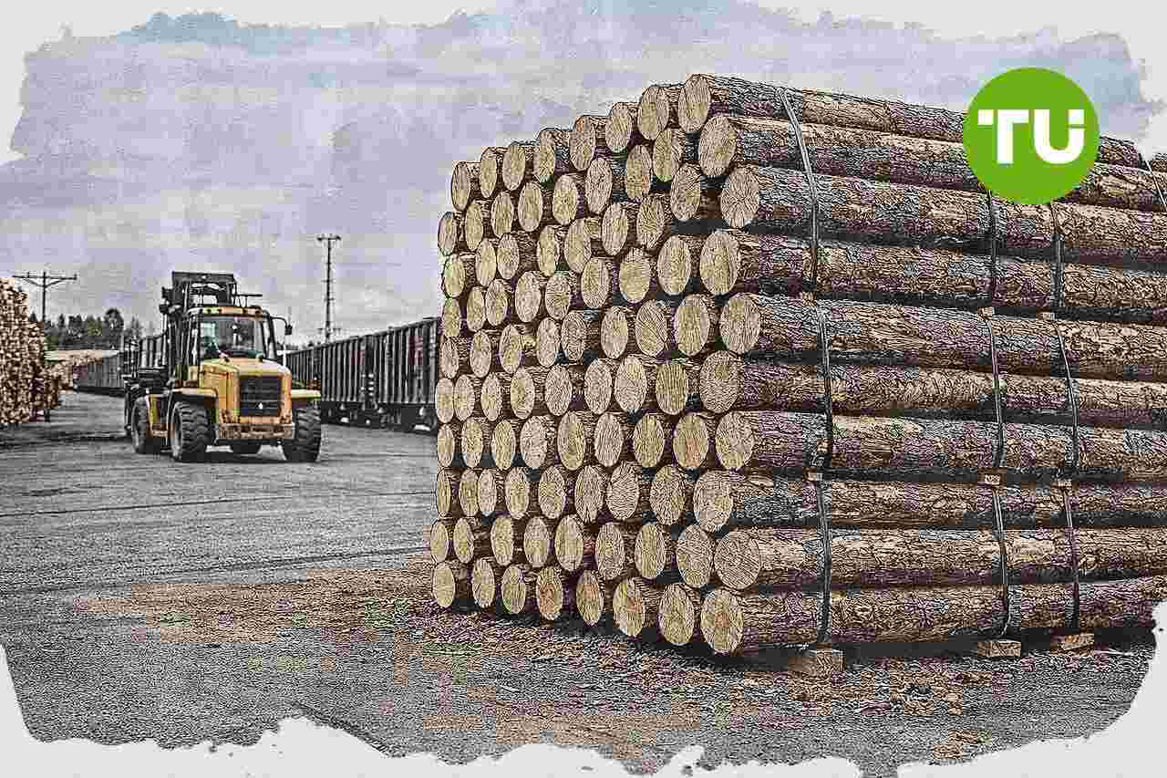 U.S. Justice Department to lead APEC forestry meeting push on timber trafficking enforcement