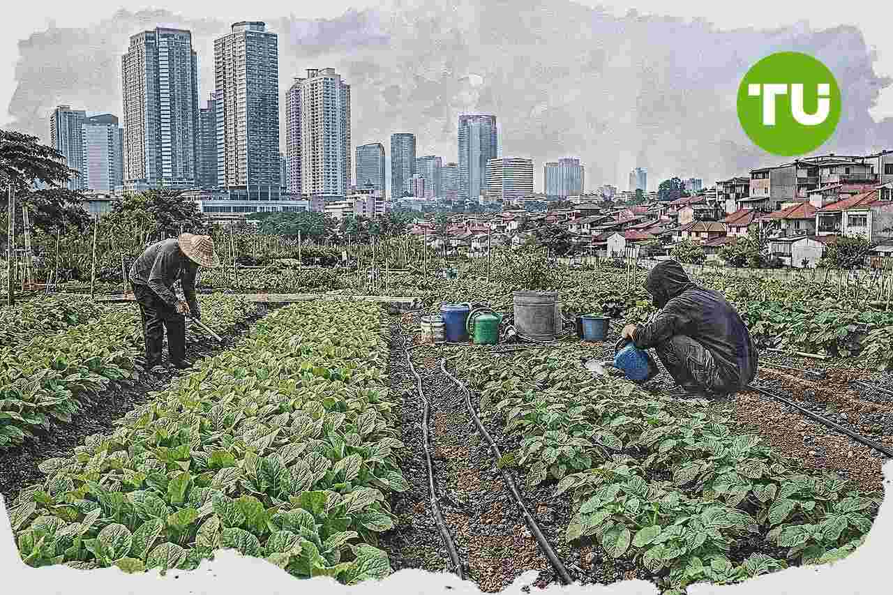 DKI Jakarta perkuat strategi ketahanan pangan lewat pasokan antardaerah dan urban farming