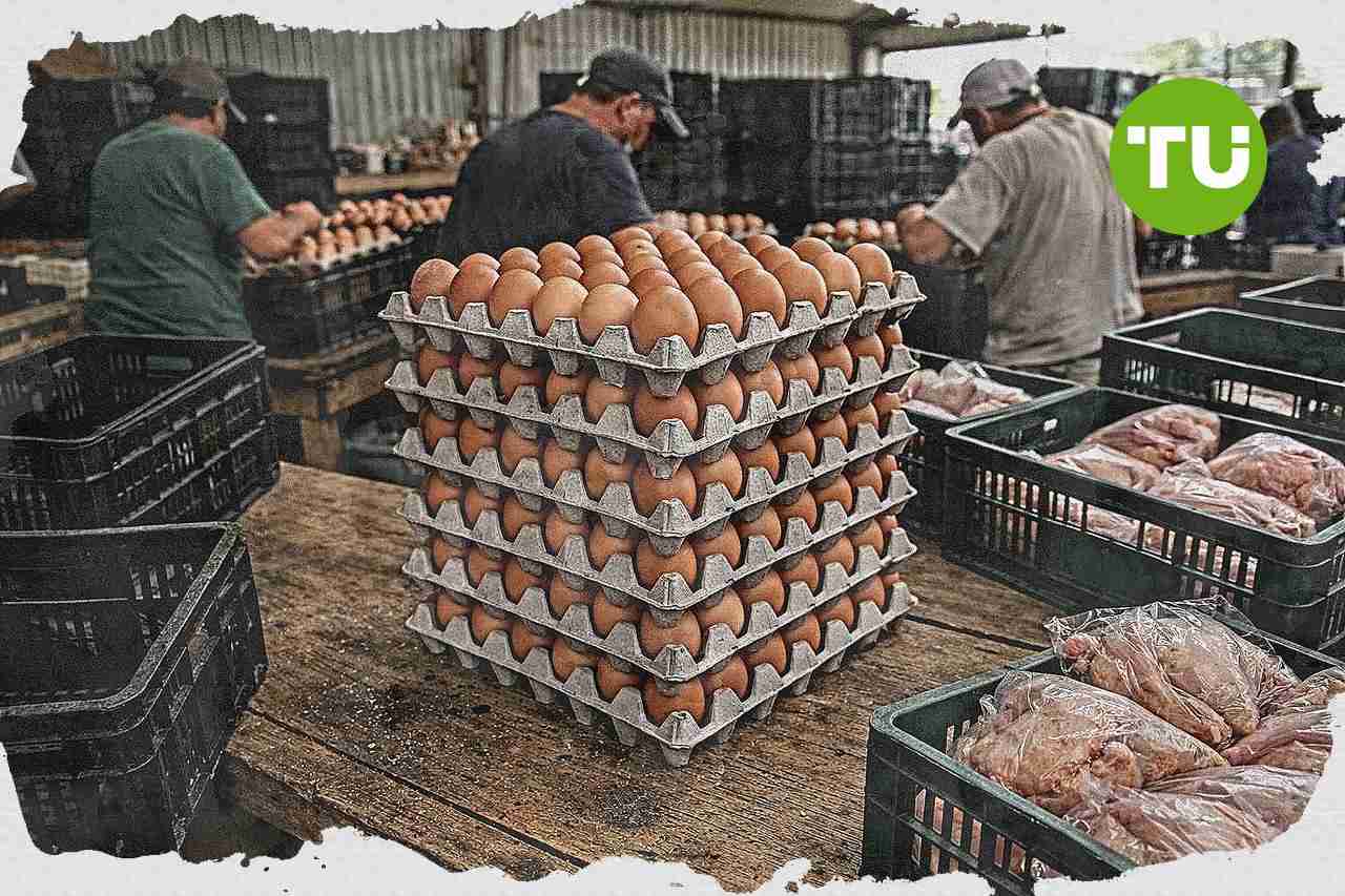 Harga ayam dan telur naik di Indonesia seiring permintaan MBG