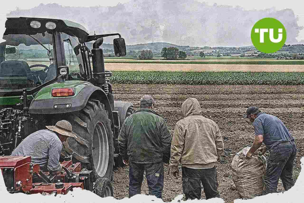 Agricoltura italiana, Istat segnala aziende stabili nel 2023 ma struttura più concentrata e lavoro in calo