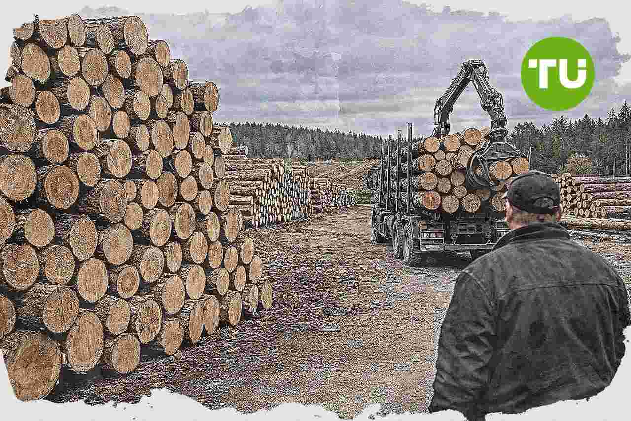 Bundesgerichtshof hebt Urteil im Rundholz-Kartellstreit gegen Baden-Württemberg auf