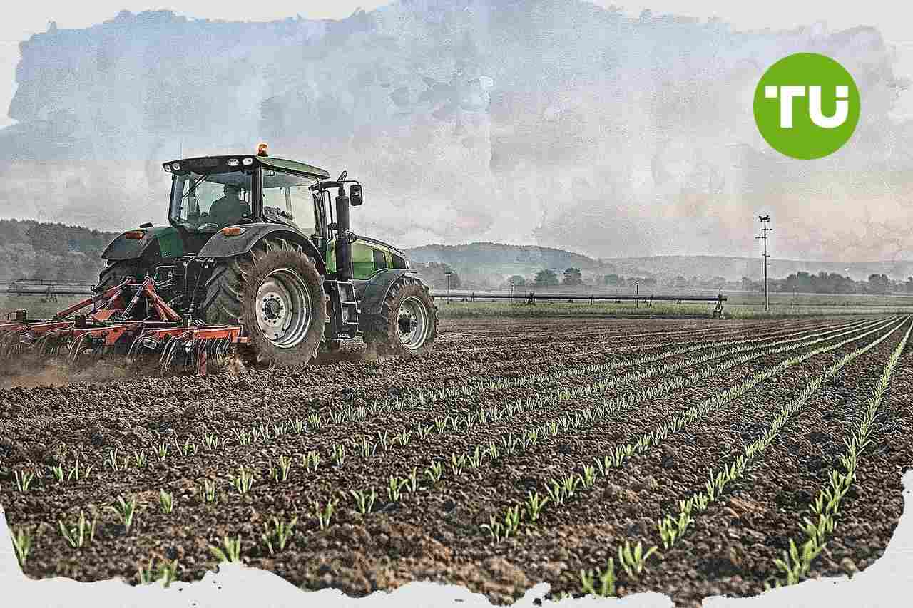 Rolnictwo w województwie świętokrzyskim zwiększa produkcję i inwestycje w czerwcu 2026