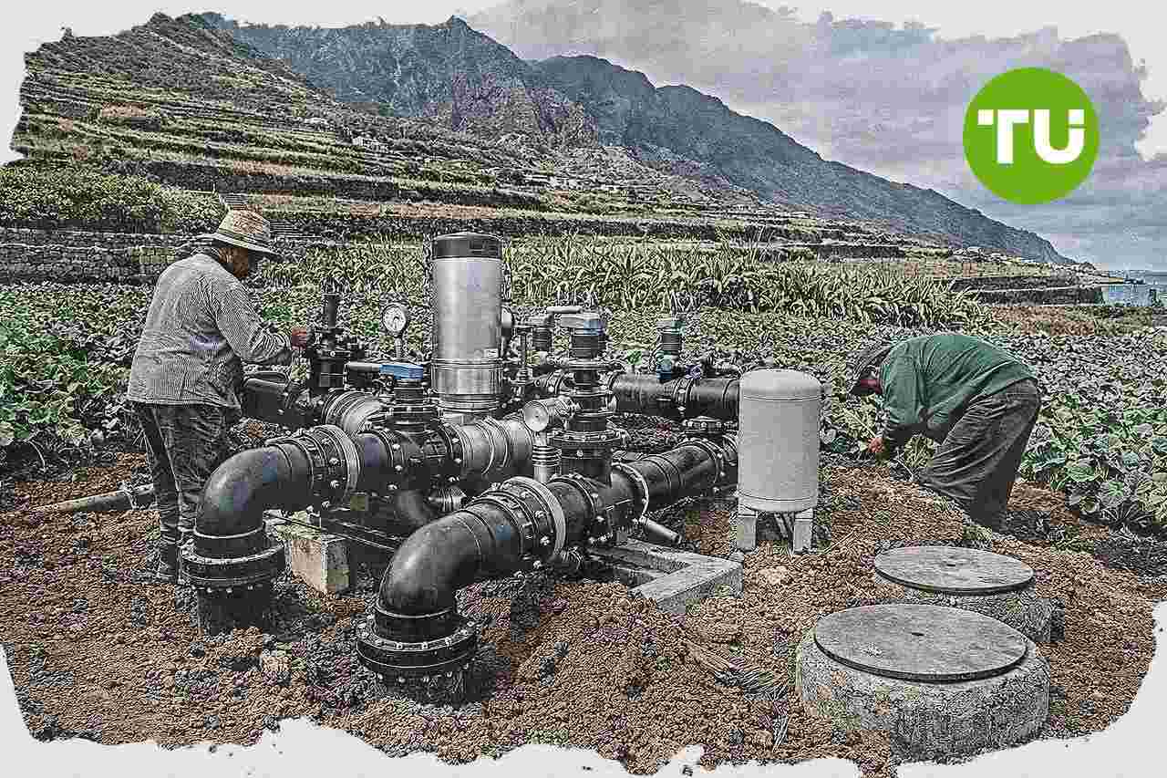 Canarias recibirá 23,1 millones para modernizar el sector primario