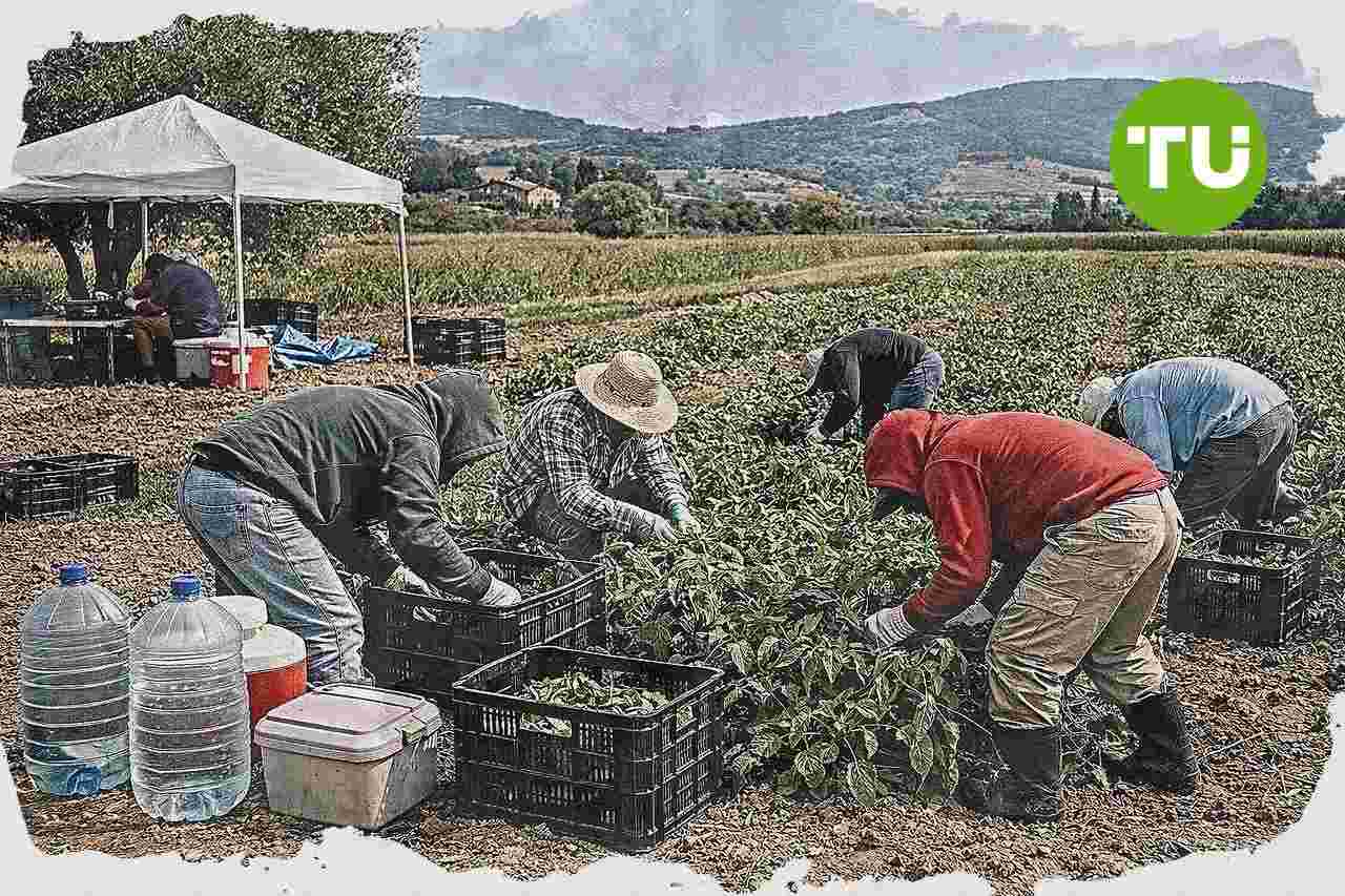 Ministero del Lavoro stanzia oltre 1,5 milioni di euro per progetti anti caporalato in Umbria