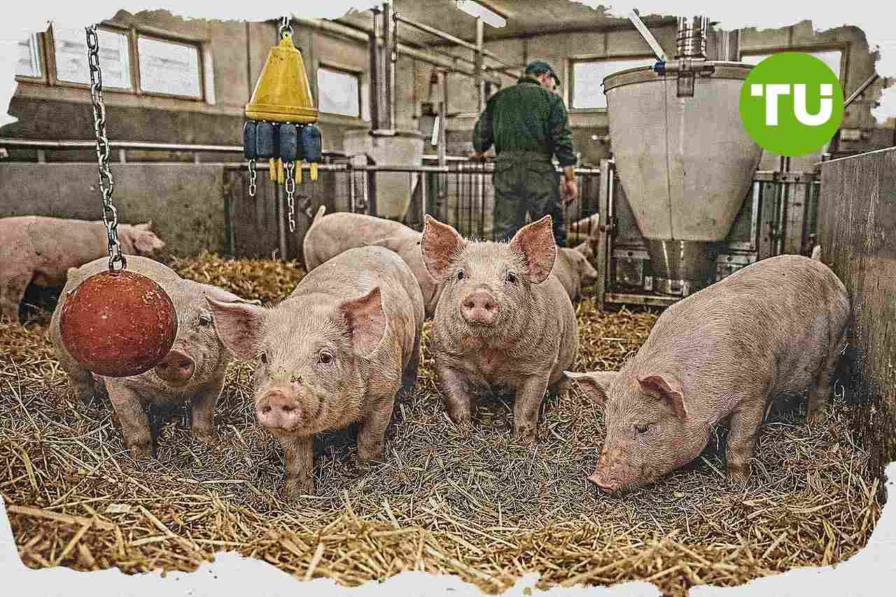 Bundestag befasst sich mit Vertragsrisiken bei Investitionen von Tierhaltern
