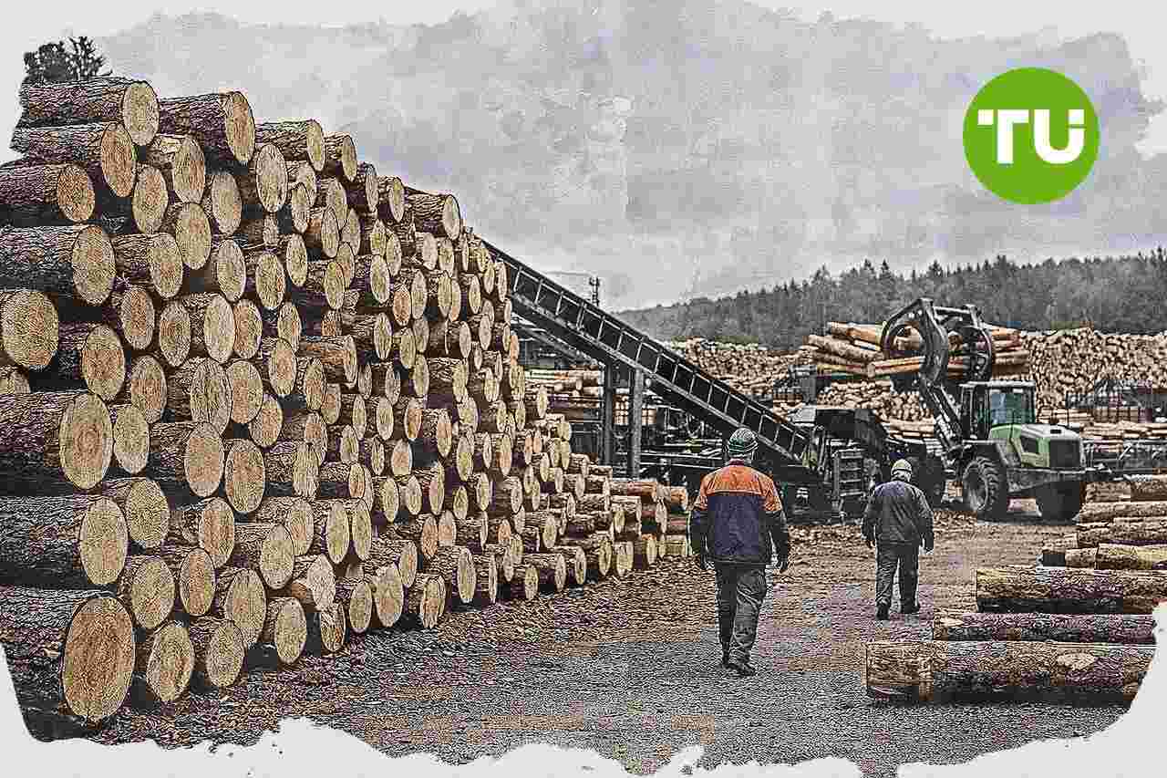 Bundesgerichtshof hebt Urteil im Rundholz-Kartellstreit in Baden-Württemberg auf