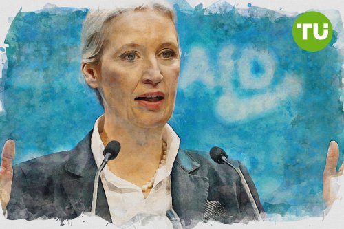 Alice Weidel warnt vor beschleunigter Deindustrialisierung energieintensiver Branchen