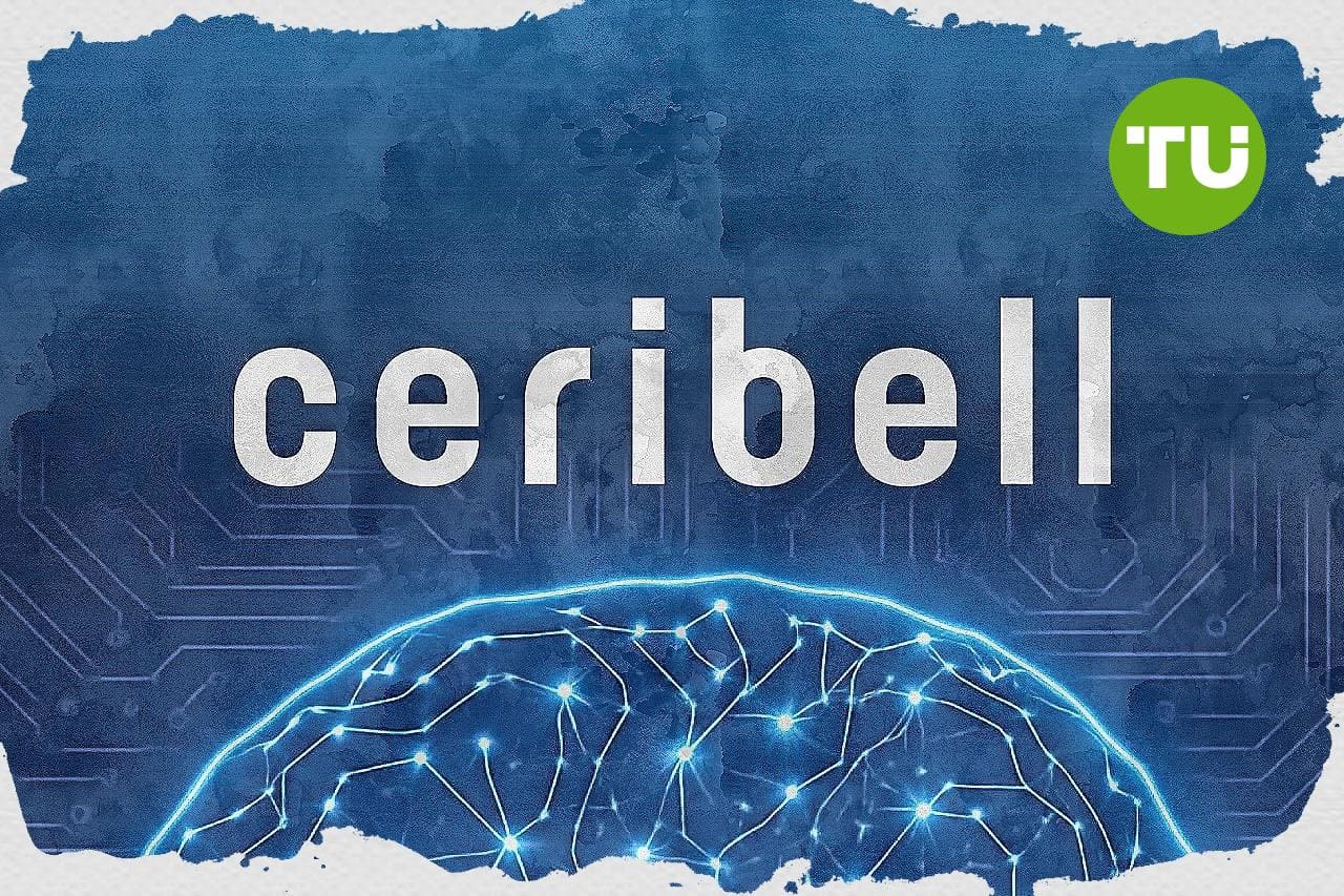 EEG adoption accelerates in urgent seizure detection, Ceribell, Inc. pushes