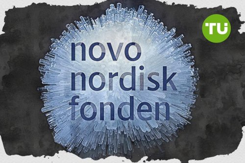 Novo Nordisk Foundation samler globale eksperter til strategi mod cardiometabolske sygdomme