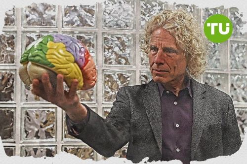 Steven Pinker: Extreme ideologies justify violent actions