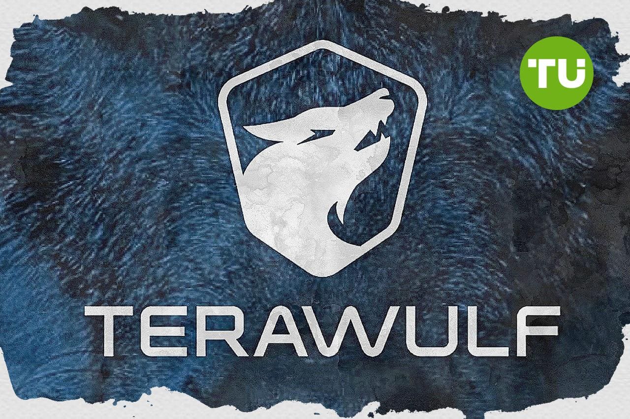 TeraWulf CFO Patrick Fleury addresses investors on The Big Skinny