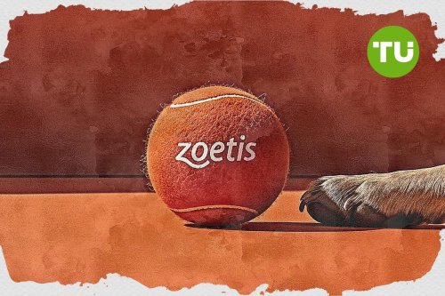 Zoetis stock up 1.09% as Zoetis pushes animal welfare and sustainability agenda