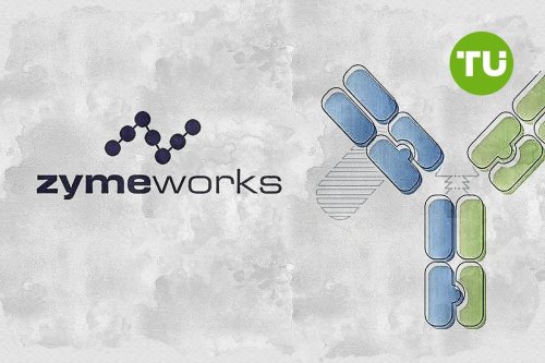 Zymeworks stock edges lower with short-term pressure despite event participation